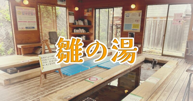 【東伊豆・雛の湯】無料！メッチャ穴場の『足湯』見つけたよ♪〈ちゅんころもちレポート〉