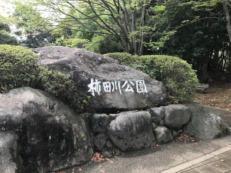 【三島・柿田川公園】