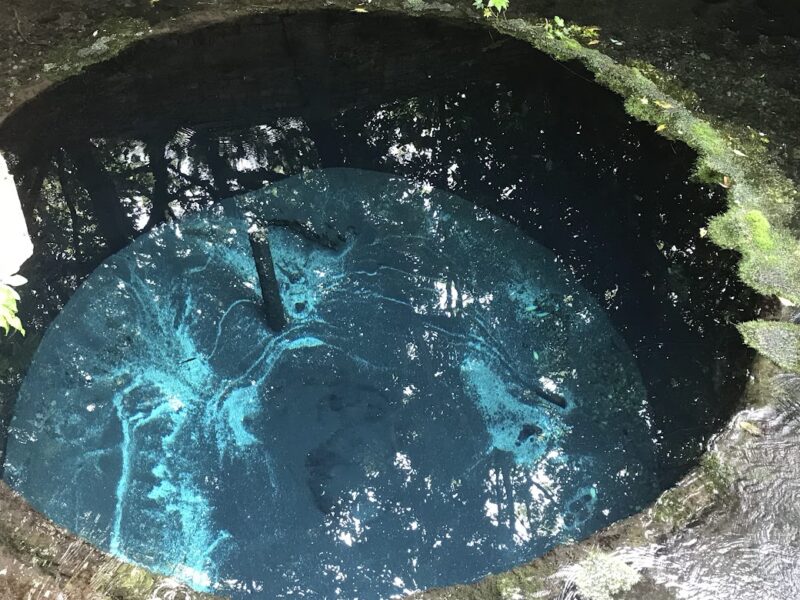 【三島・柿田川公園】柿田川湧水　青く見える