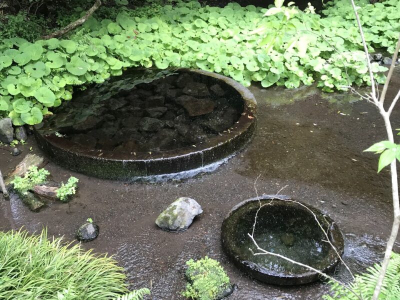 【三島・柿田川公園】柿田川湧水　綺麗