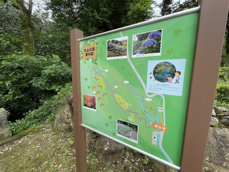 【伊東・大平山ハイキング】丸山公園地図