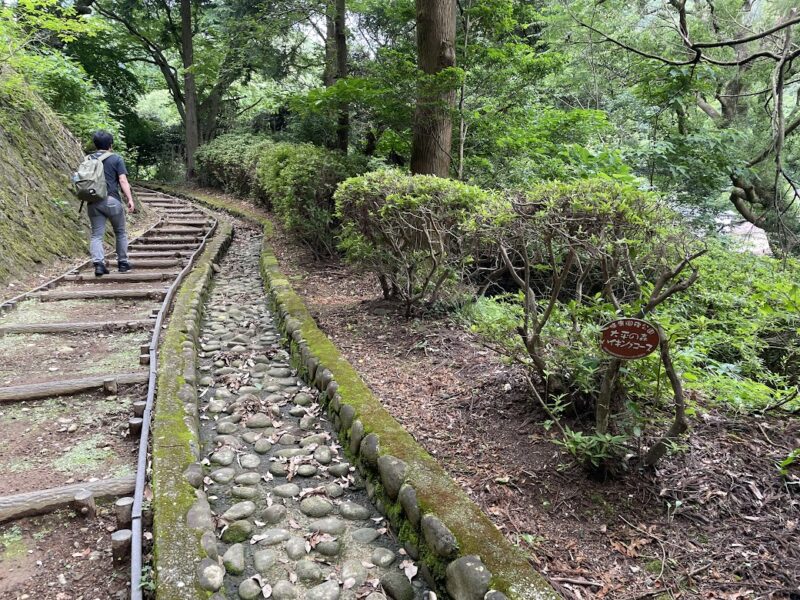 【伊東・大平山ハイキング】丸山公園から