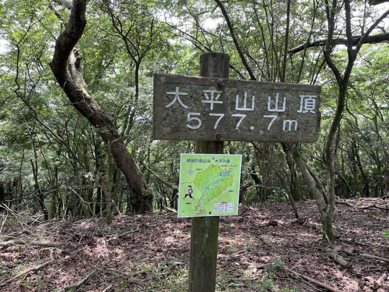 【伊東・大平山ハイキング】山頂