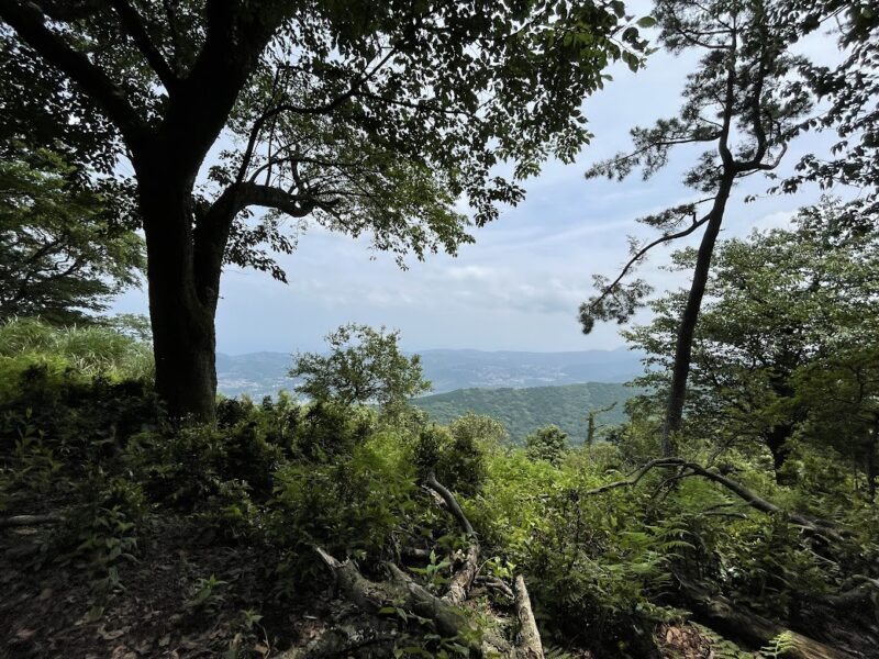 【伊東・大平山ハイキング】山頂の景色