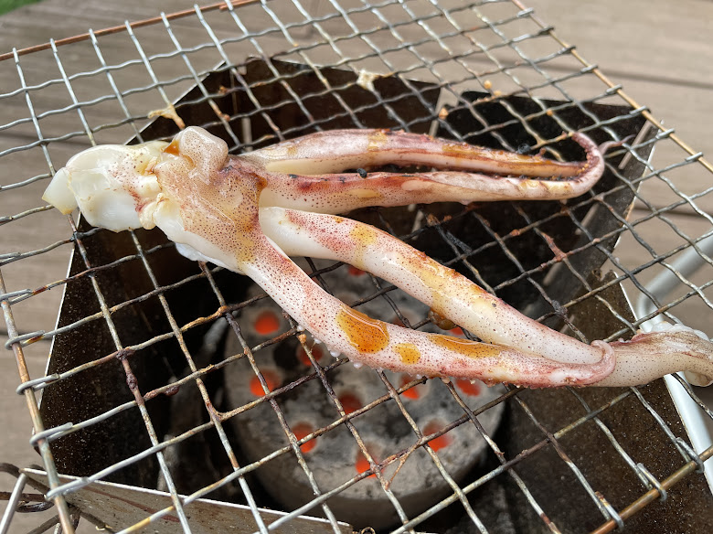 【伊東・中野鮮魚店】水槽（いけす）で泳いでいるお魚を、その場で捌いてもらえる魚屋さん♪　イカの干物