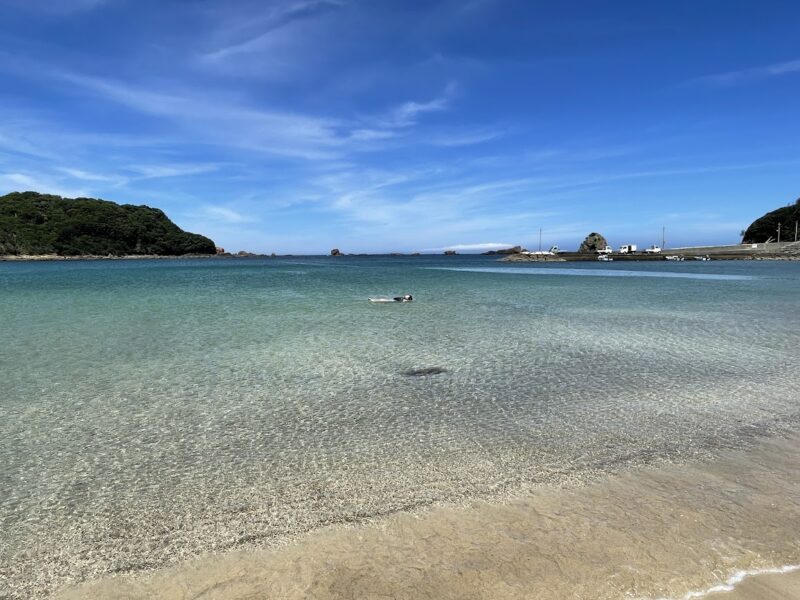 下田　海水浴場　貸し切り