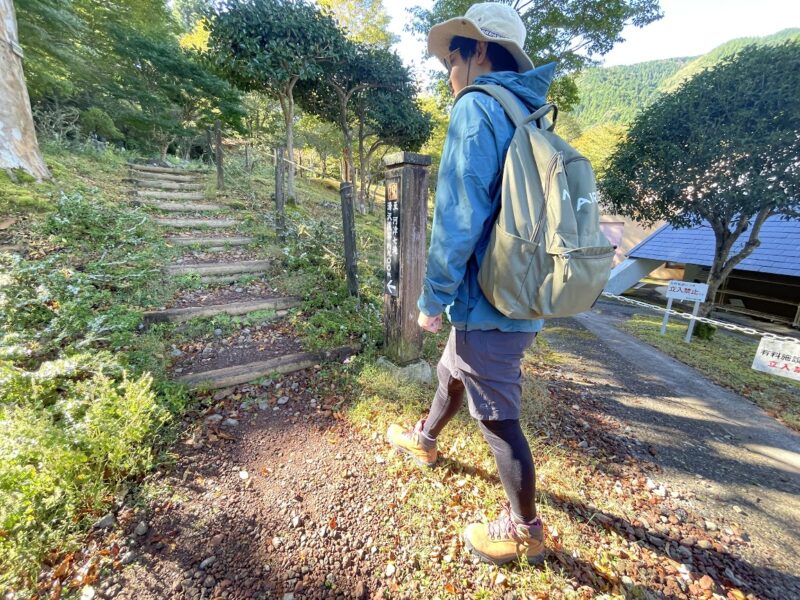 伊豆市・天城の太郎杉ハイキングコース