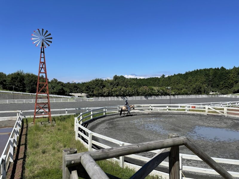 伊豆市・ステーキハウス「MAVERICK」（中伊豆ワイナリー）　乗馬