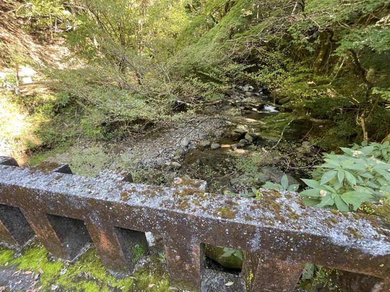 伊豆天城・寒天橋　ハイキングコース