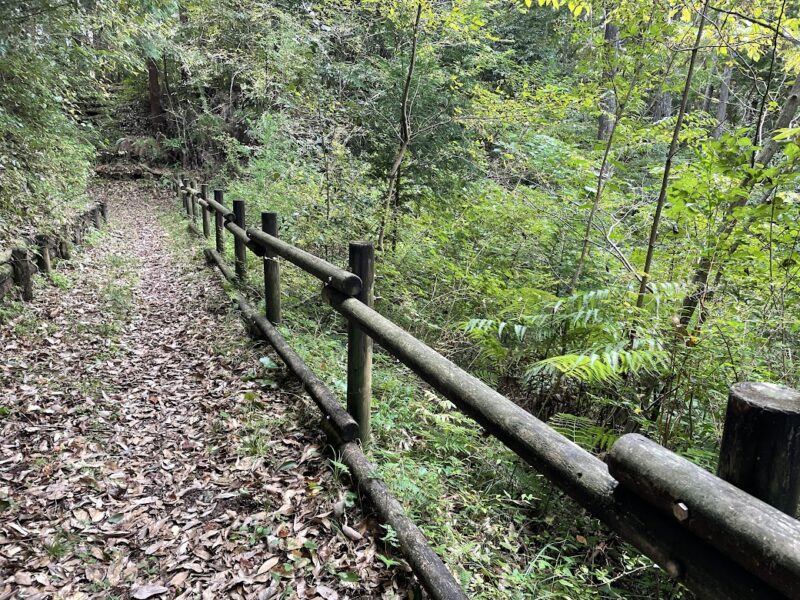 「狩野城跡」伊豆のハイキングコース