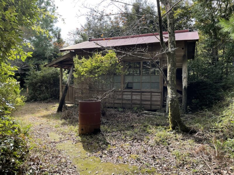 「狩野城跡」伊豆のハイキングコース