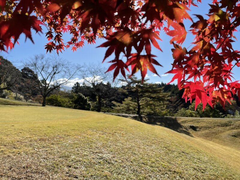 伊豆舩原ゴルフ　紅葉