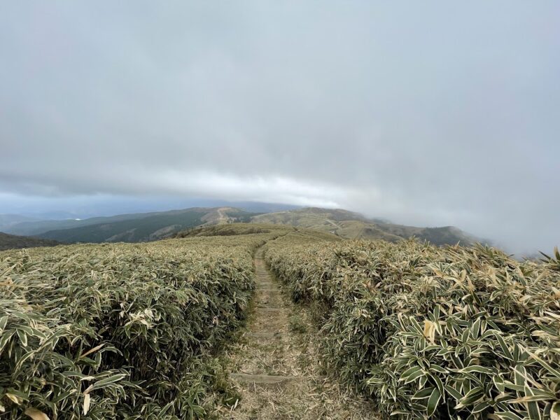 達磨山　ハイキングコース