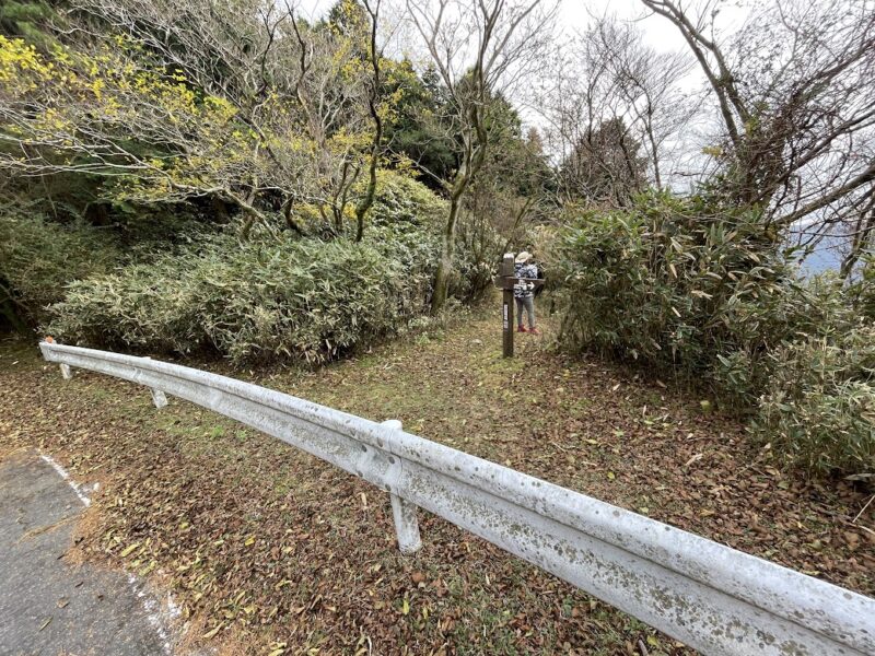 スカイライン　ハイキングコース