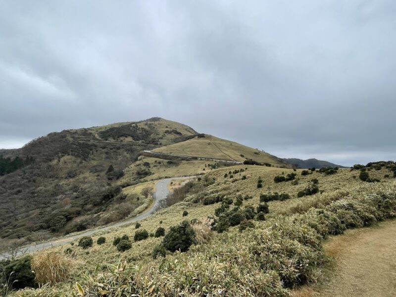 達磨山