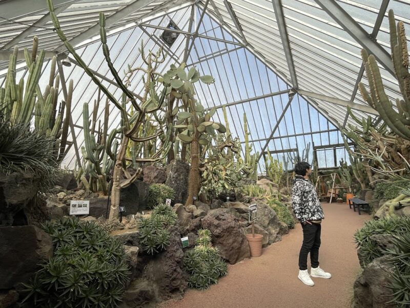 【伊東・伊豆シャボテン動物公園】温室