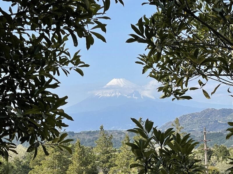 【伊豆・ラフォーレ修善寺＆カントリークラブ】景色　富士山