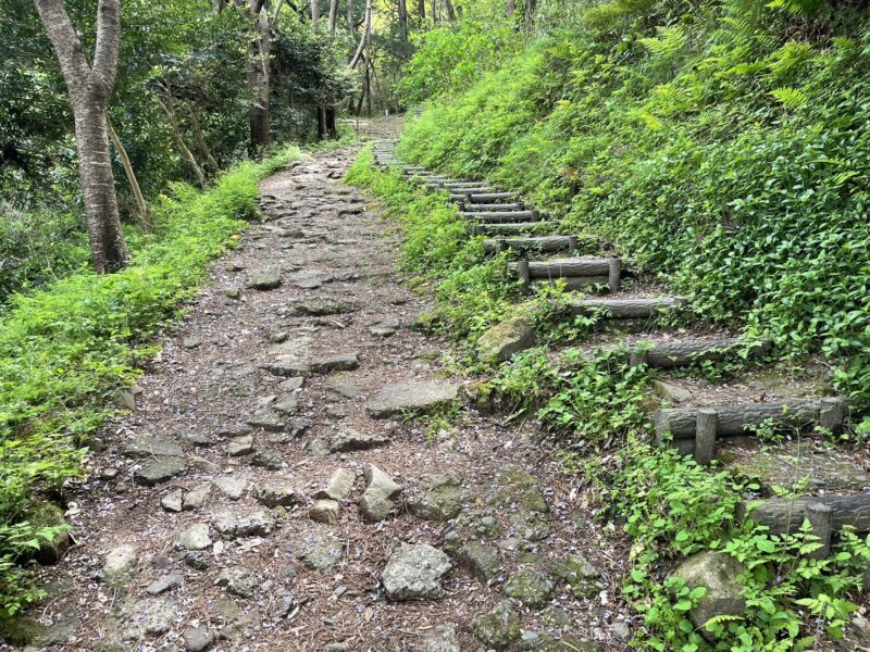 【函南・日守山ハイキングコース】階段