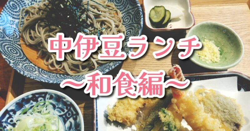 【中伊豆エリア】おすすめランチ～和食編～絶対寄りたい近くのお店♪