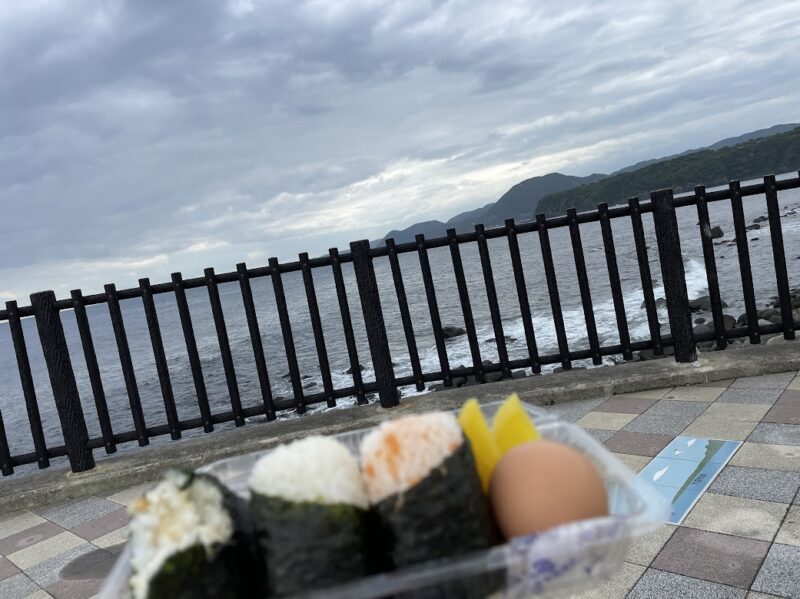海を眺めながら弁当【東伊豆町・め組】