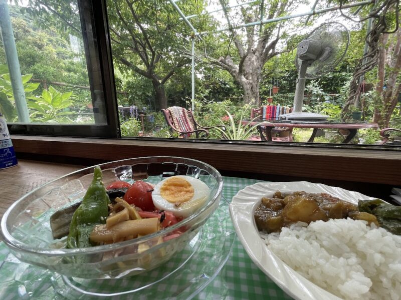 冷やし中華＆カレー【東伊豆・花ごおり】