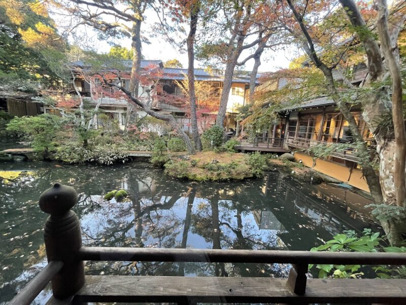 【伊豆・小戸橋製菓 本店】猪最中　箱