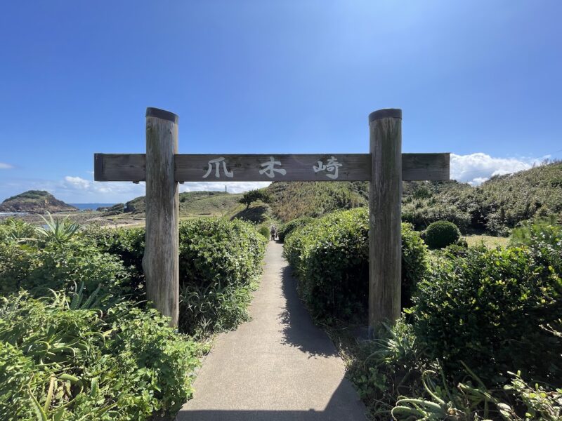 【下田・爪木崎】遊歩道