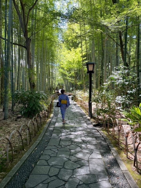 【伊豆半島】映画・ドラマ・アニメのロケ地巡りおすすめ一覧