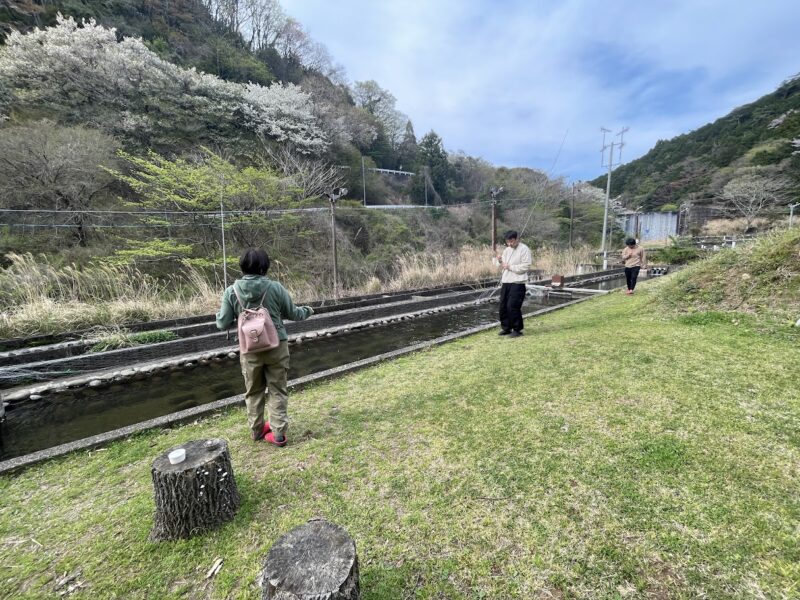 【伊豆市・伊豆自然村キャンプフィールド】車乗り入れＯＫのびのび♪〈ちゅんころもちブログ〉