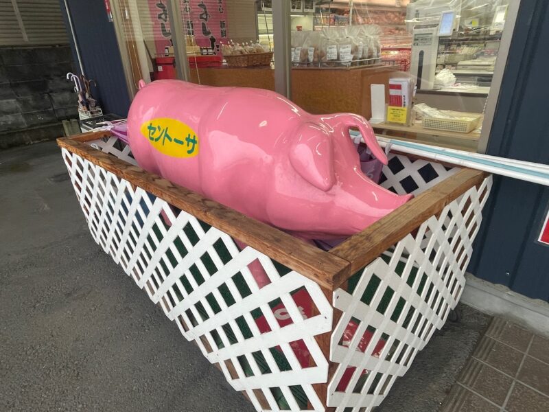 【伊豆の国市・セントーサ】美味しいお肉をゲットせよ♪〈ちゅんころもちブログ〉ピンクの豚